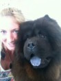 /album/fotos-zoe-s-city-dog/i-phon-1697-jpg1/